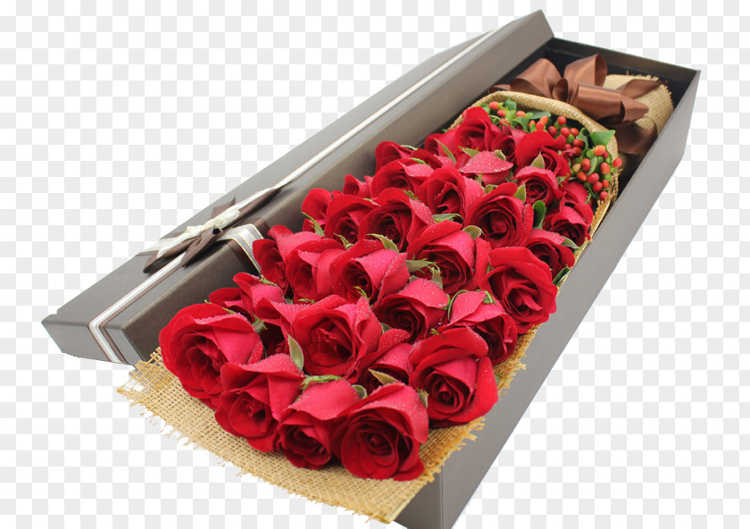 Rose Gift Beach Gratis Computer File PNG