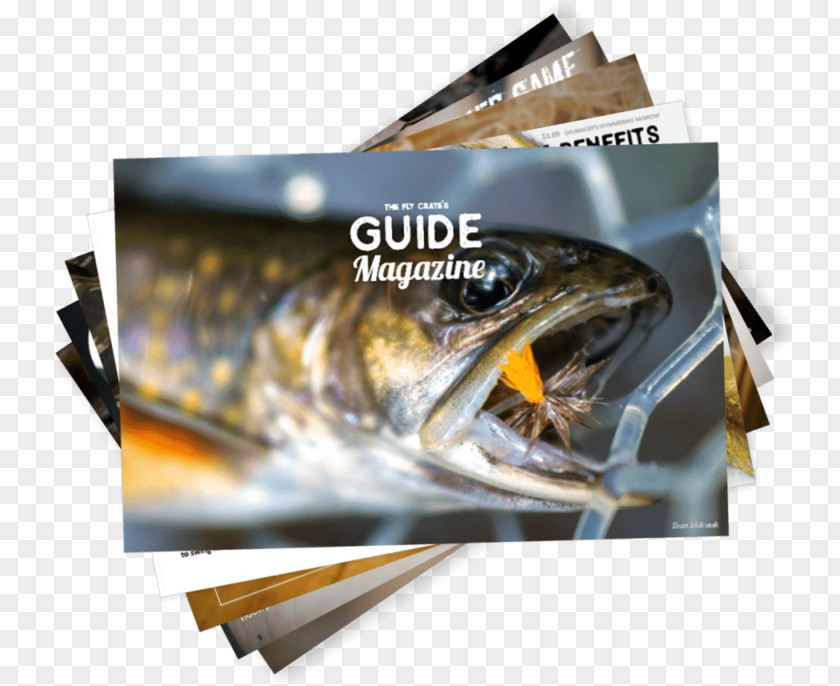 Bull Trout Streamers Bum Fly Fishing The Box PNG