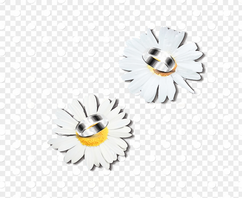 Feather PNG