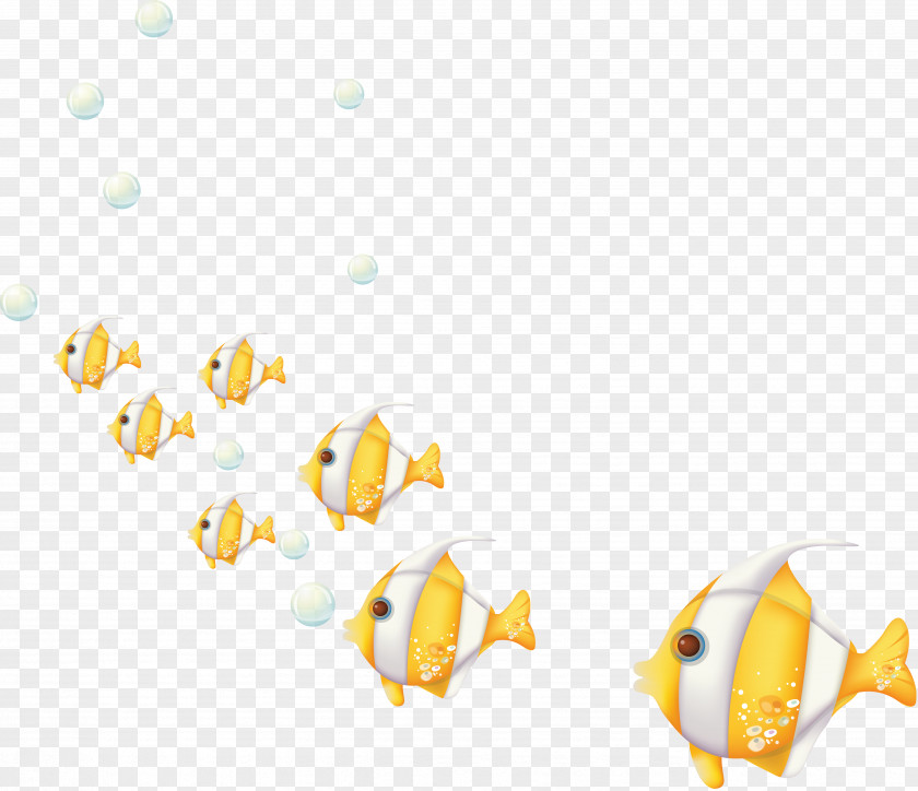Fish Marine Biology Seabed Clip Art PNG