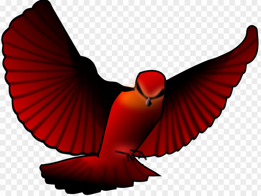 Flying Bird Northern Cardinal Clip Art PNG