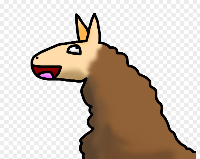 Llama Drawing Pack Animal Clip Art PNG