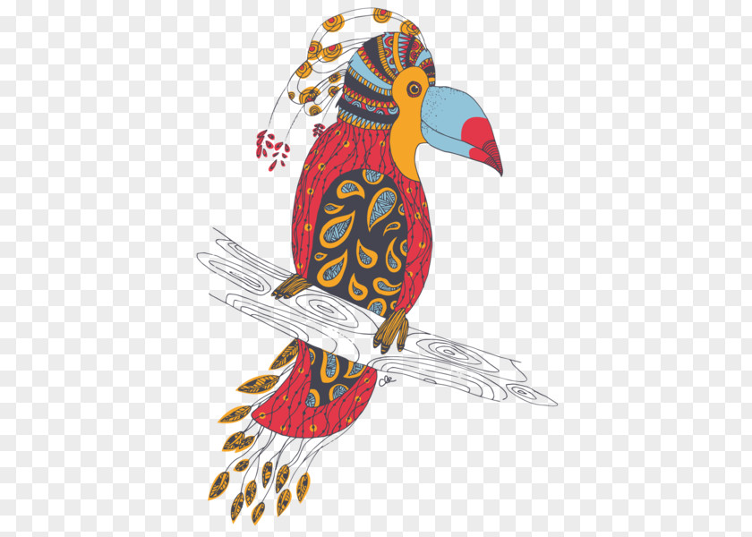 Toucan Bird Parrot Macaw Beak Animal PNG