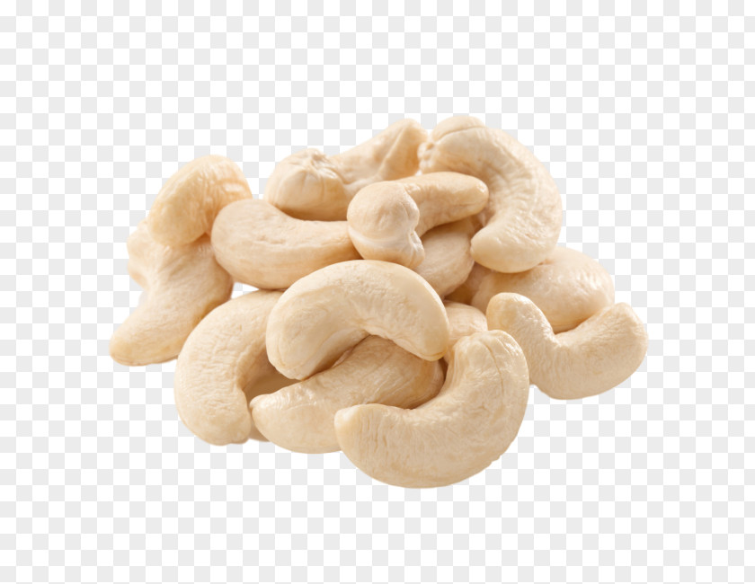 Almond Cashew Korma Kaju Barfi Raw Foodism Nut PNG