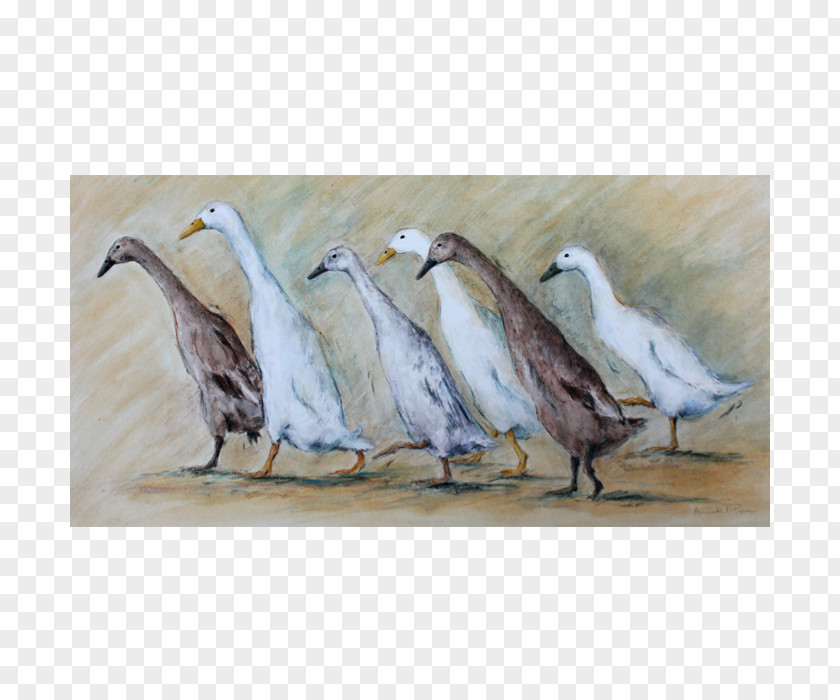 Duck Goose Painting Pope Commission PNG