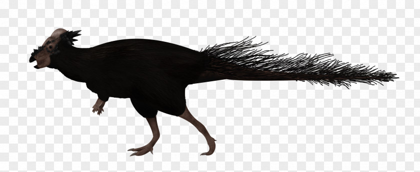 Feather Pachycephalosaurus Psittacosaurus ARK: Survival Evolved Pachycephalosauria PNG