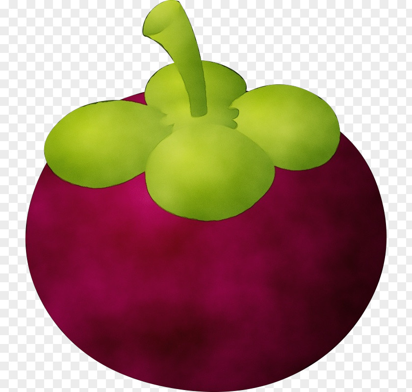 Grape Vitis Watercolor Tropical PNG