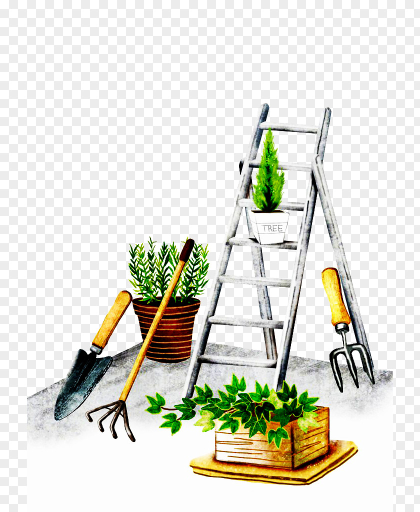 Plants And Ladder Plant Illustration PNG