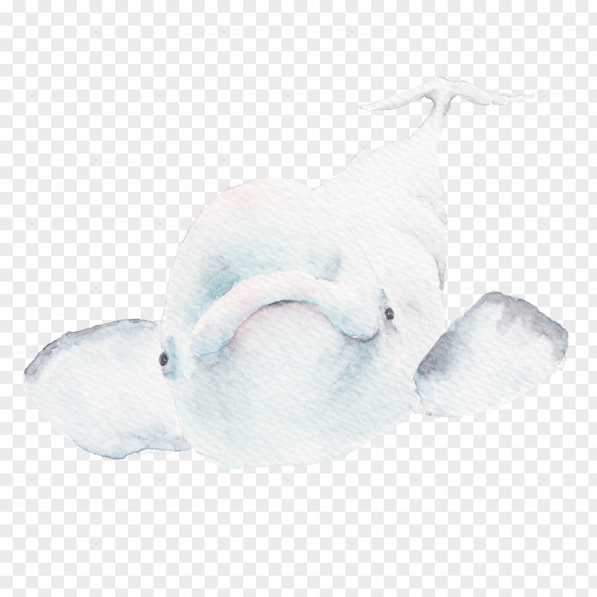 Silly Dolphin Hulk PNG