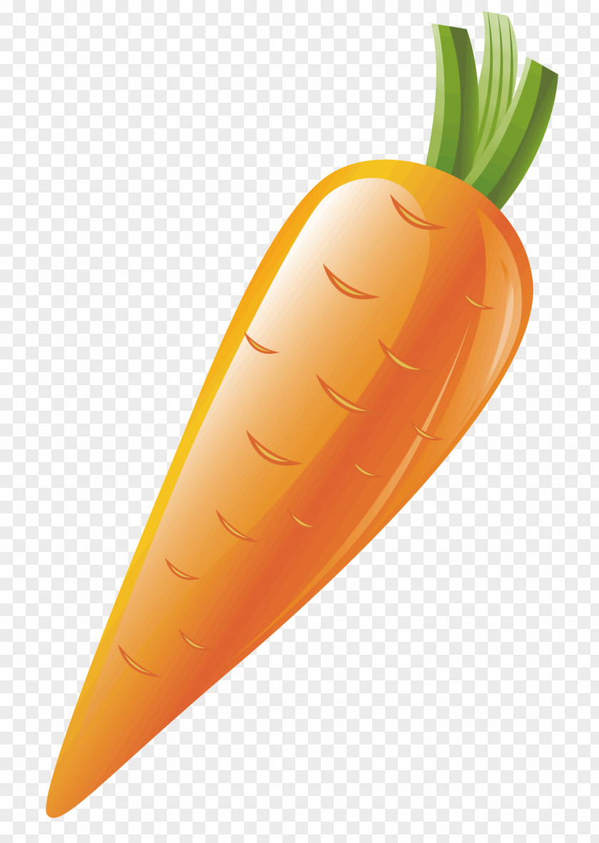 A Carrot Vegetable PNG