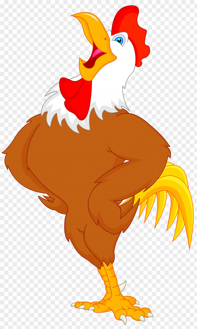 Chicken Clip Art Drawing Image PNG