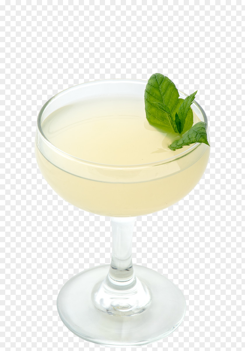 Cocktail Garnish Daiquiri Gimlet Mint Julep Martini PNG