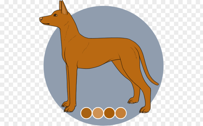 Dog Breed Red Fox Dingo Dhole PNG