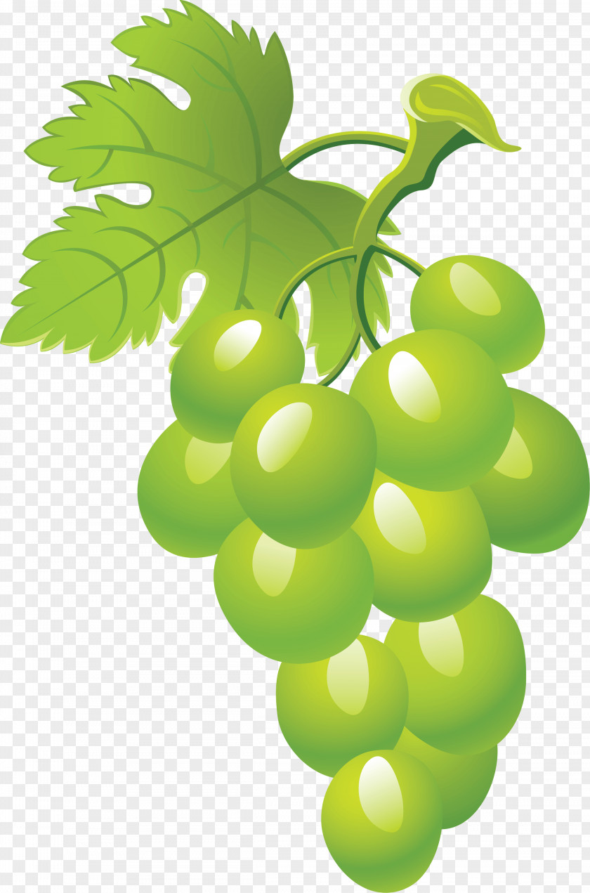 Green Grape Picture Image Clip Art PNG