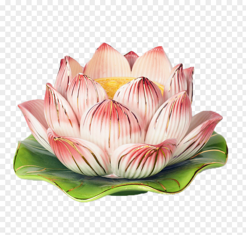 Lotus Base Gilt Edge Floral Design Clip Art PNG