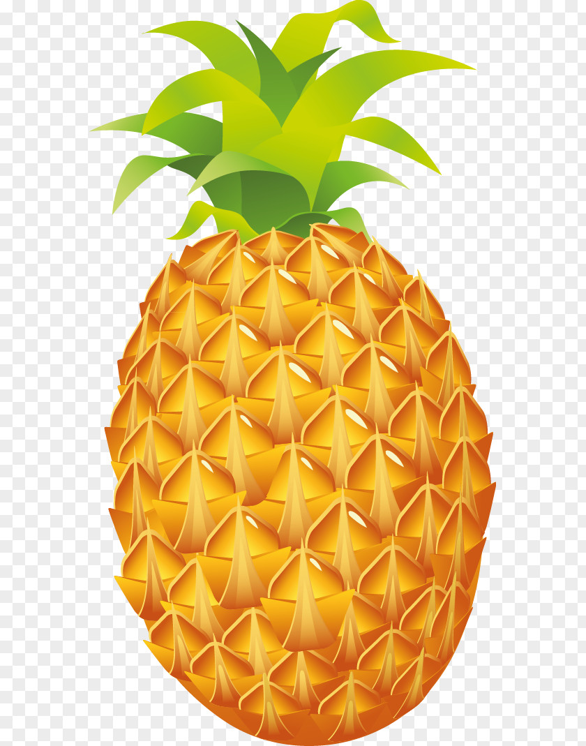 Pineapple Cliparts Luau Fruit Clip Art PNG
