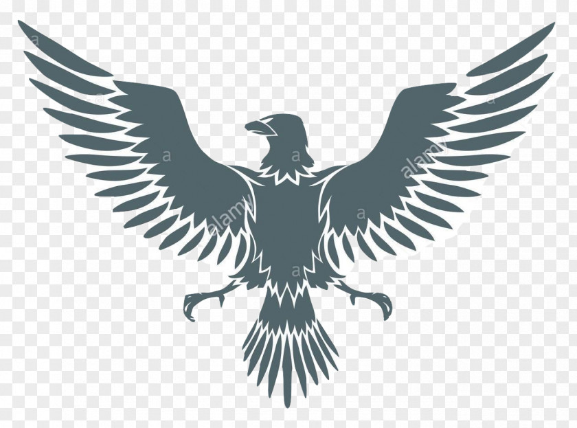 Falcon Coat Of Arms Eagle Clip Art PNG