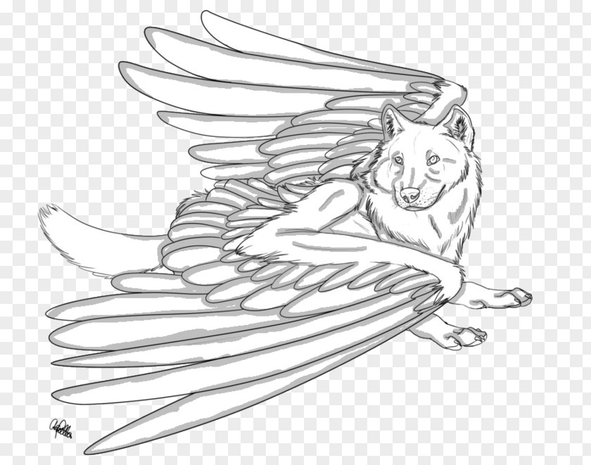 Winged Wolf Coloring Pages Mammal Sketch Line Art Cartoon Shoe PNG