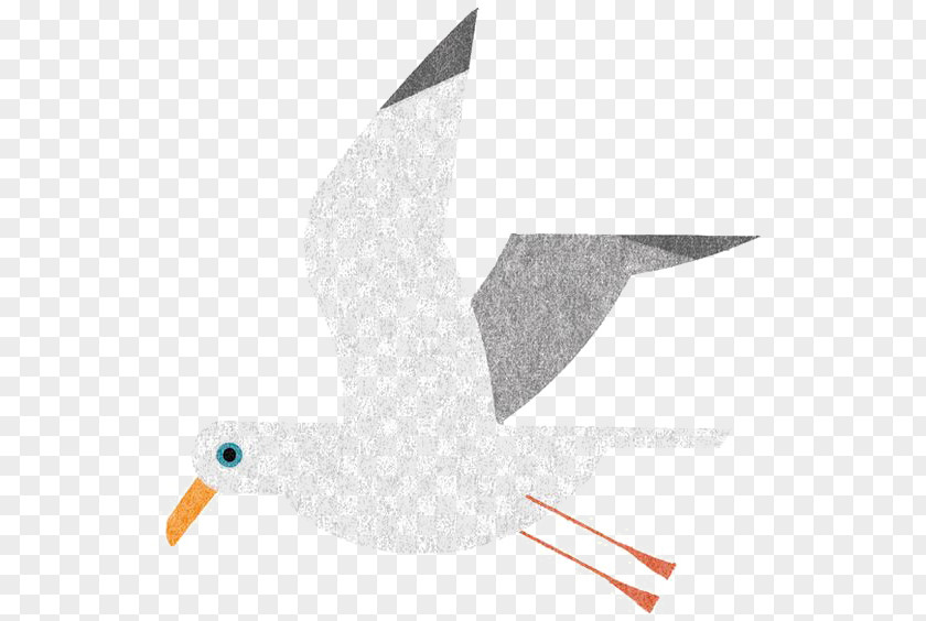 Cartoon Seagull Bird Japan Gulls Illustrator Illustration PNG