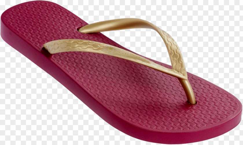 Sandal Flip-flops Slipper Wholesale PNG