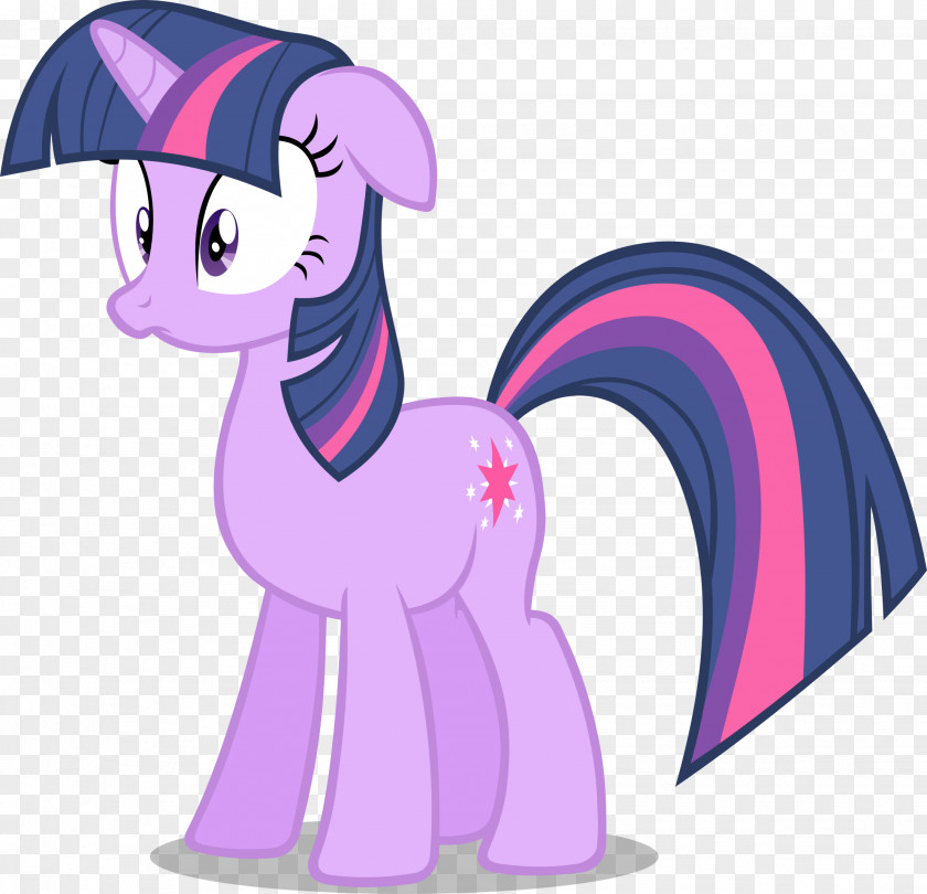 Sparkle Vector Twilight Pinkie Pie Pony Spike Rainbow Dash PNG