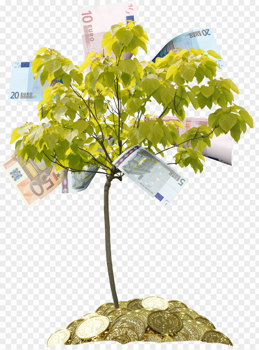 Tree Money Drawing Clip Art PNG