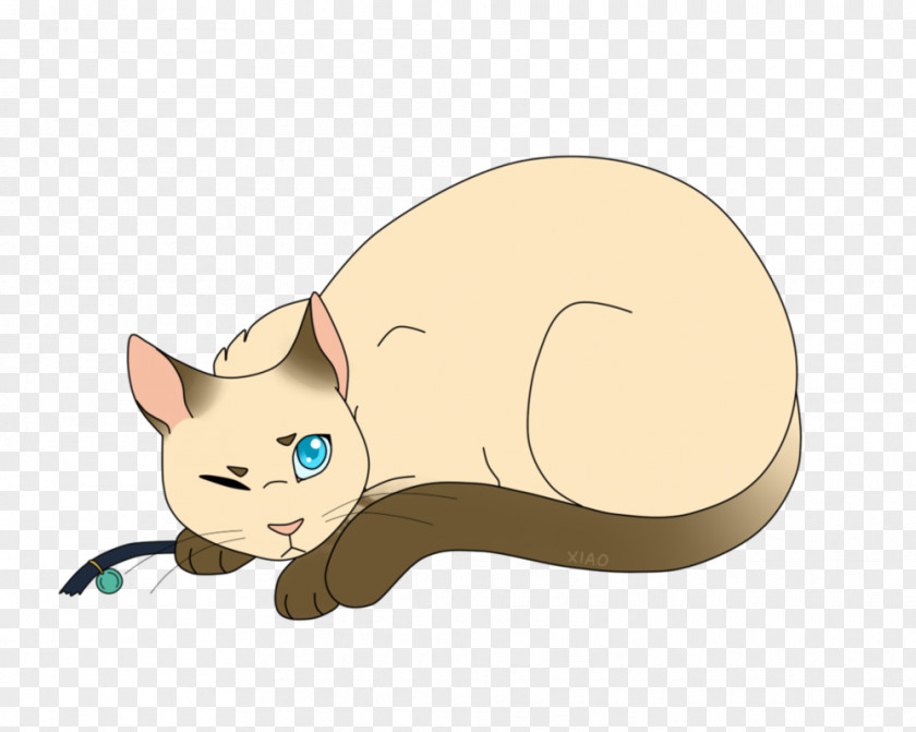 Dark Cloud Xiao Whiskers Warriors Domestic Short-haired Cat Erin Hunter PNG