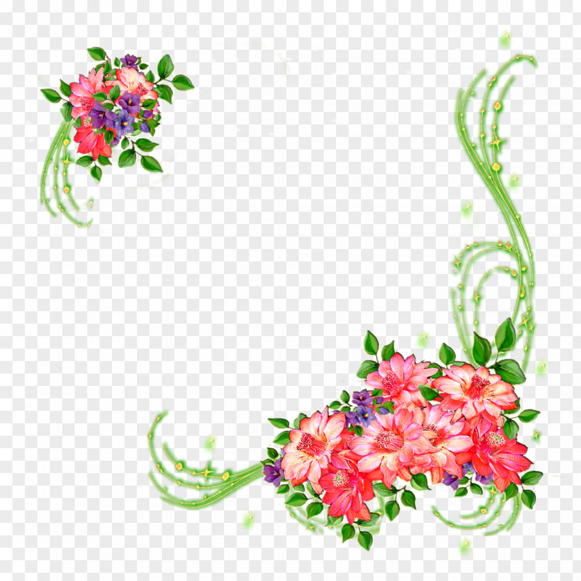 Flower Floral Design Picture Frames Paper PNG