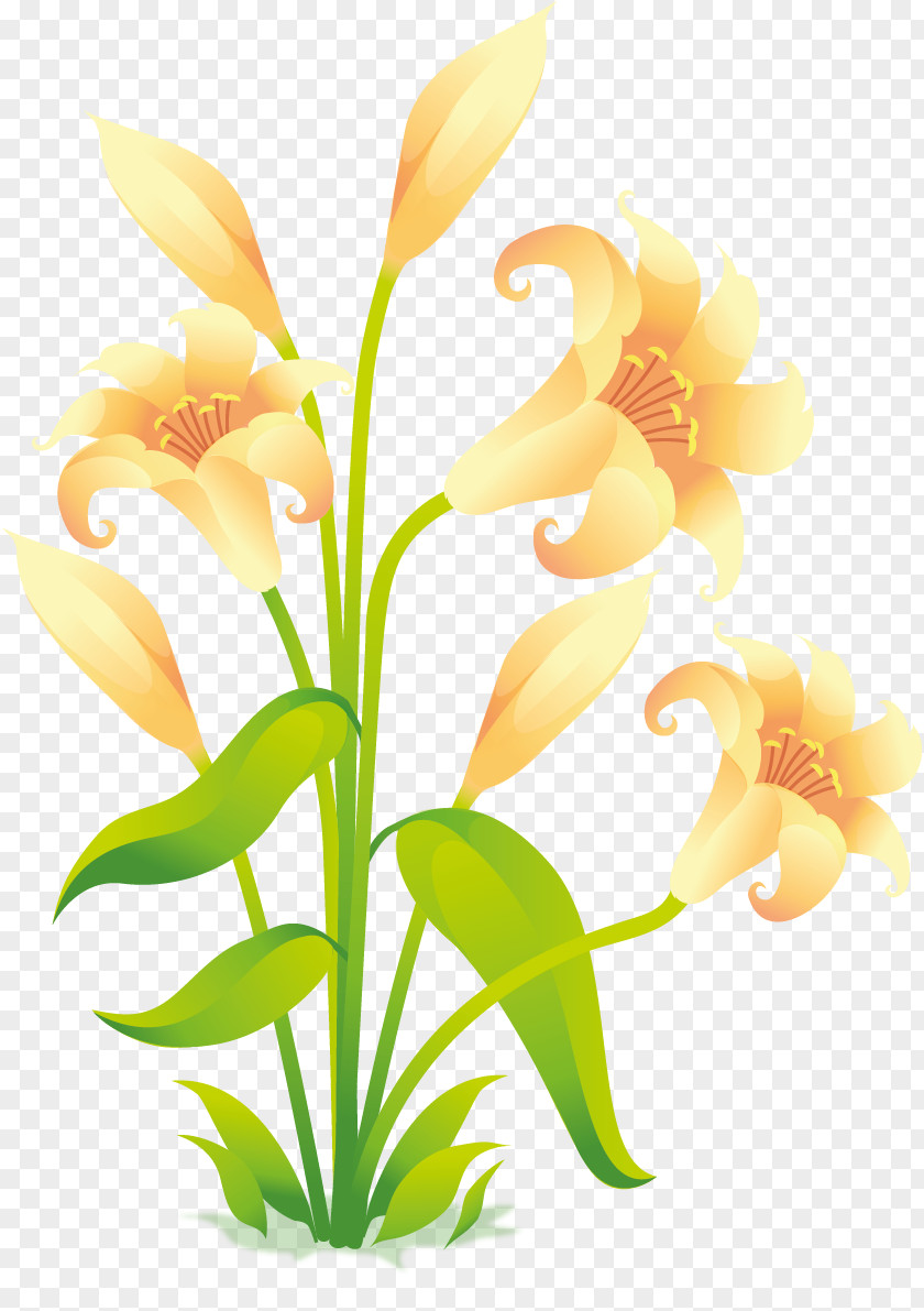 Gladiolus Flower Easter Lily Clip Art PNG