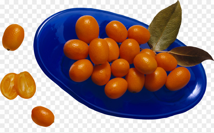 Orange Fruit Salad Juice Kumquat PNG