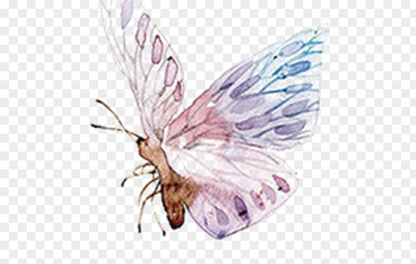 Wind Ink Butterfly Creative Watercolor Painting Cartoon PNG