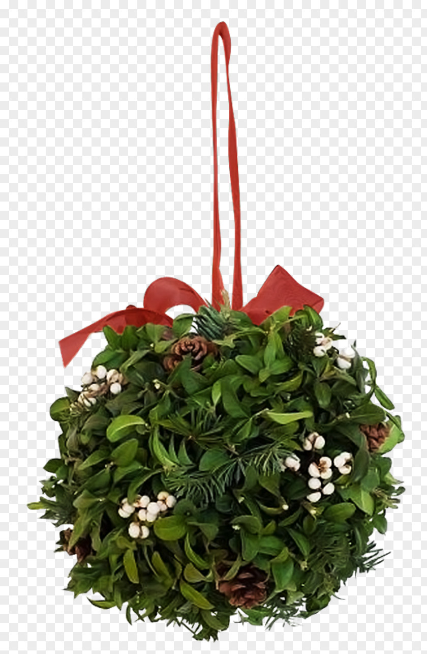 Christmas Floral Design 3D Computer Graphics PNG