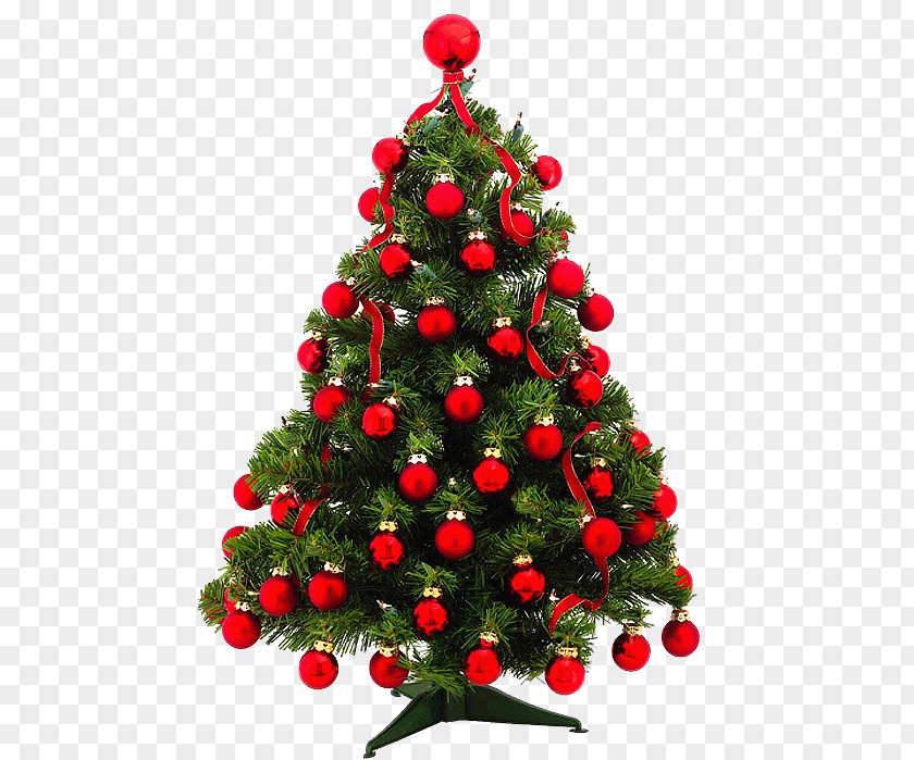 Christmas Tree Pine Ornament Fir PNG