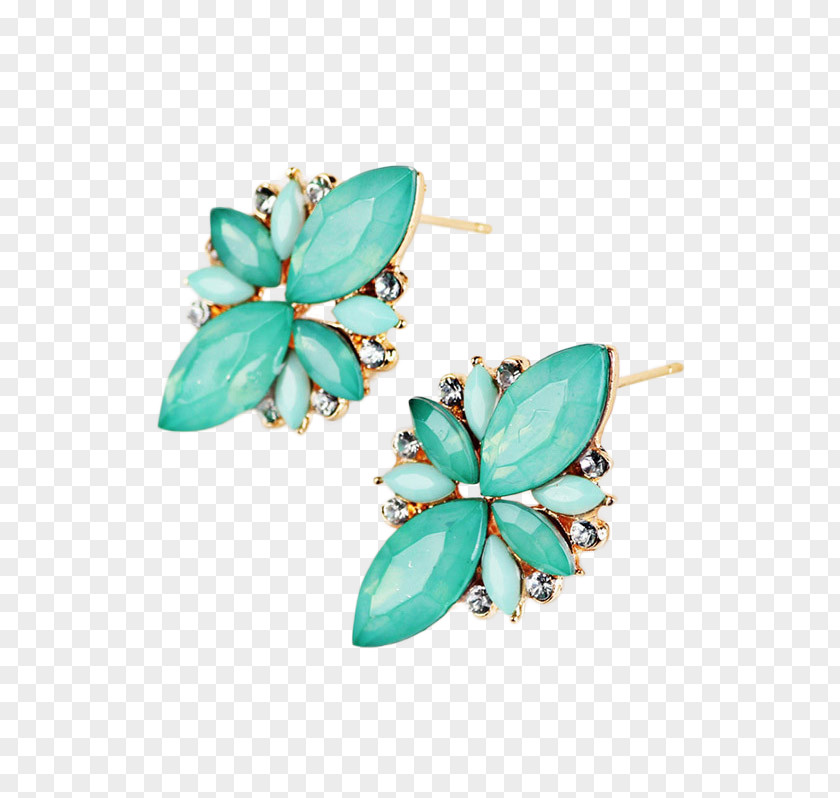 Necklace Earring Turquoise Brooch Clothing PNG