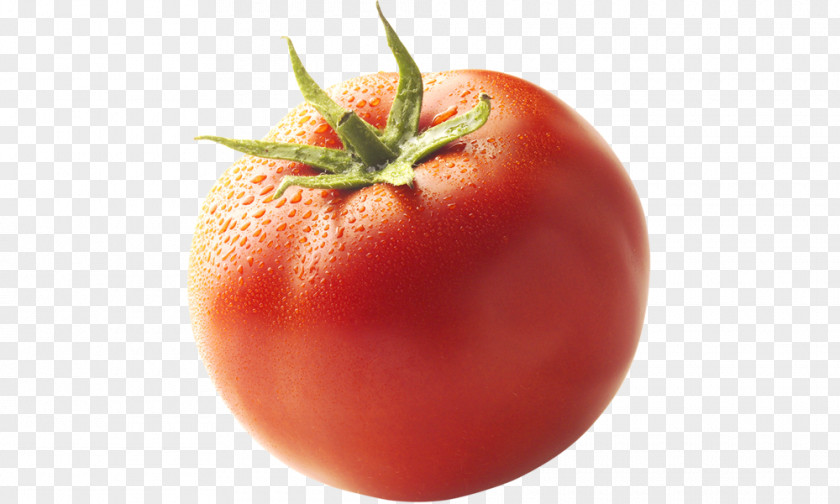 Tomato Plum Bush Food Garnish PNG