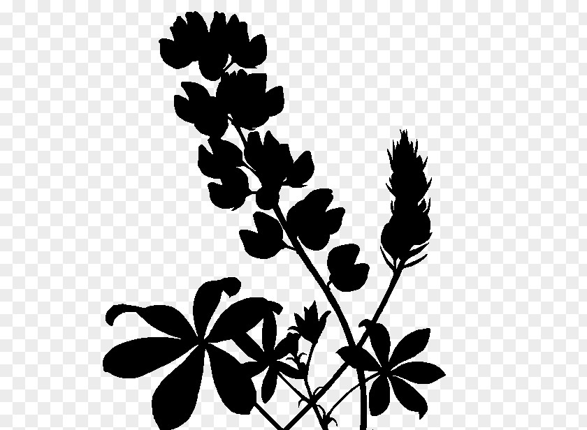 Twig Plant Stem Leaf Font Silhouette PNG
