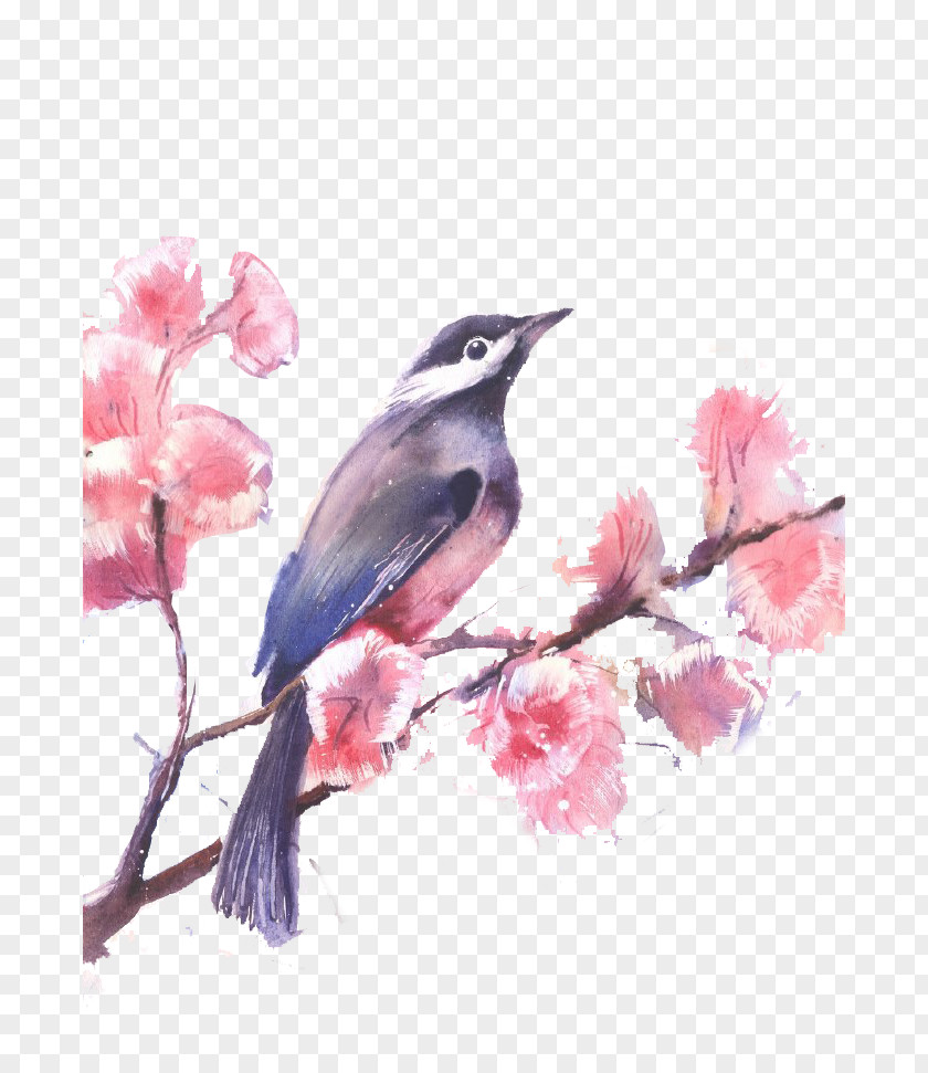 Watercolor Painted Birds And Flowers PNG