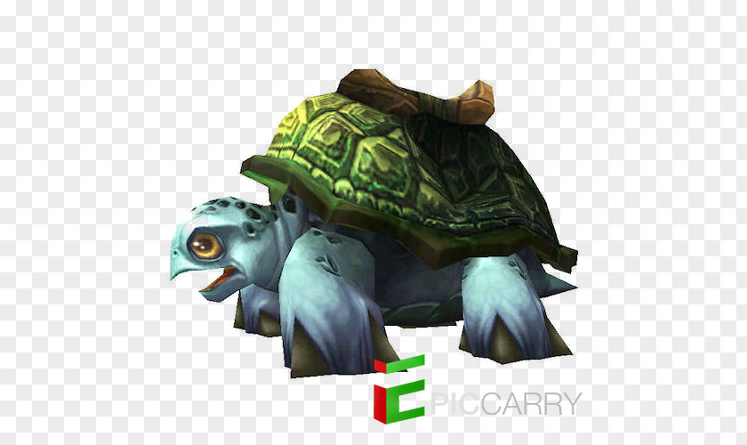 World Of Warcraft Tortoise Orda Pond Turtles PNG