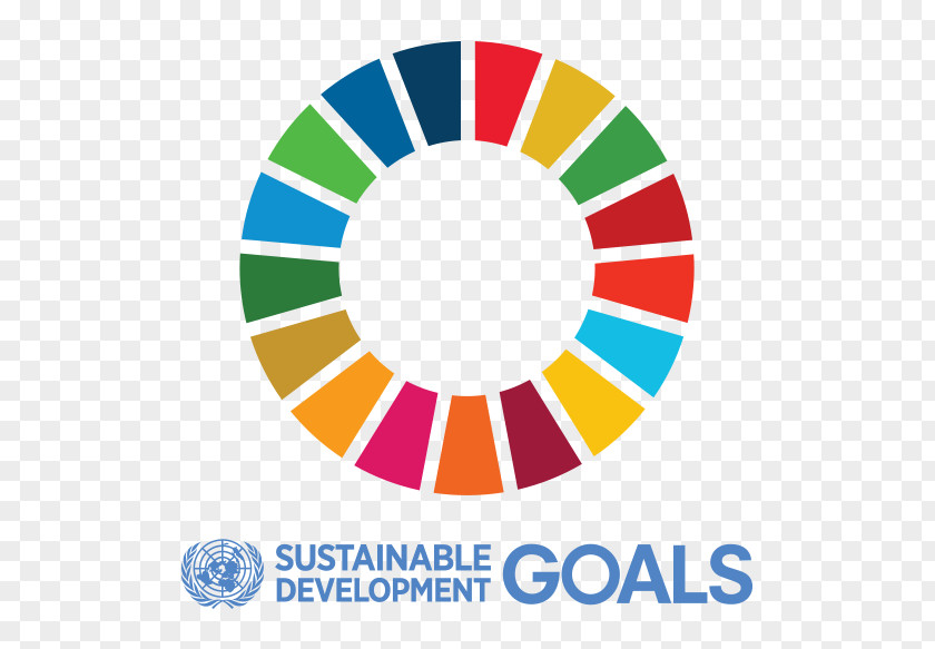2030 Vision Sustainable Development Goals Millennium Sustainability International PNG
