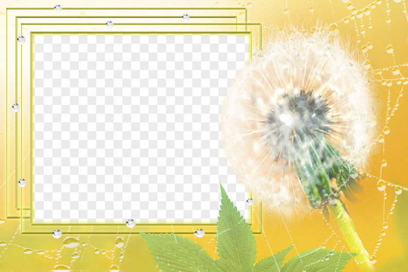 Dandelion Frame Border Drawing Picture Software PNG