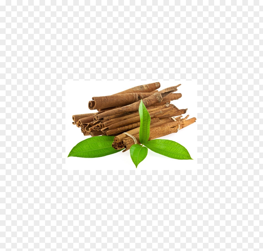 Oil Cinnamon Leaf Essential Distillation PNG