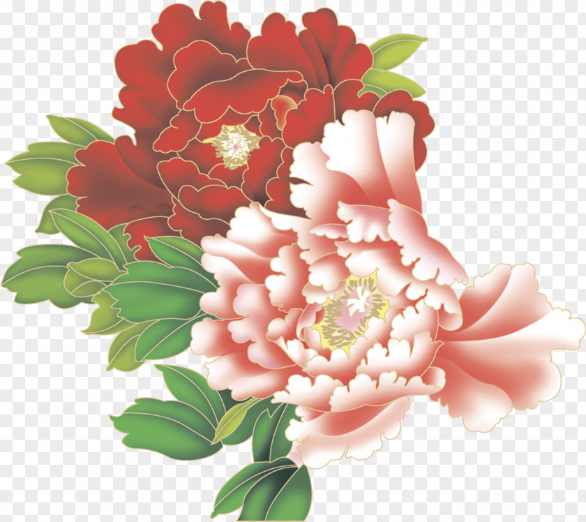 Peony Graphic Design PNG