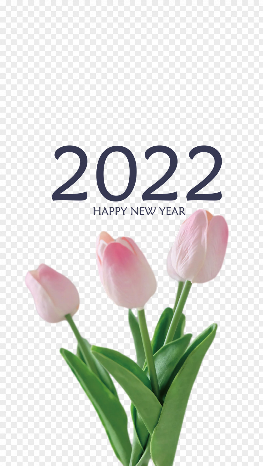 2022 Happy New Year PNG