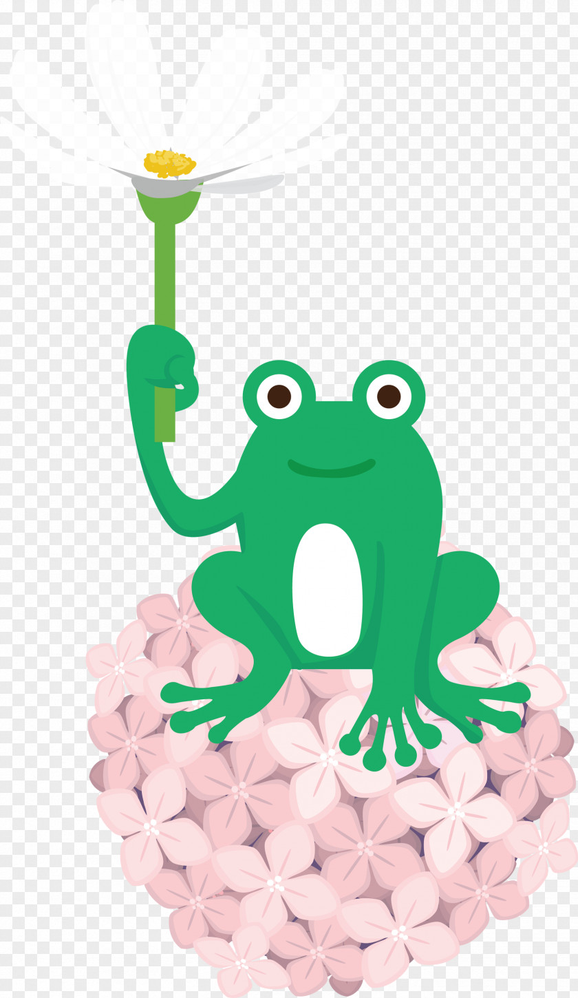 Frogs Cartoon Tree Frog Science Biology PNG