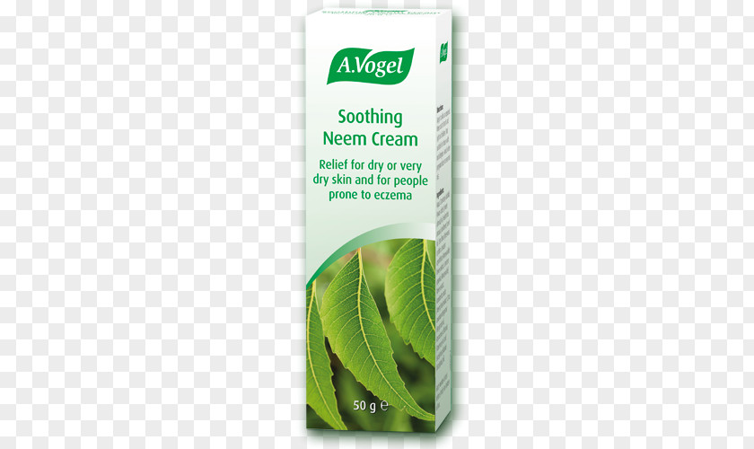 Neem Leaf Tree Skin Care Cream Tincture Oil PNG