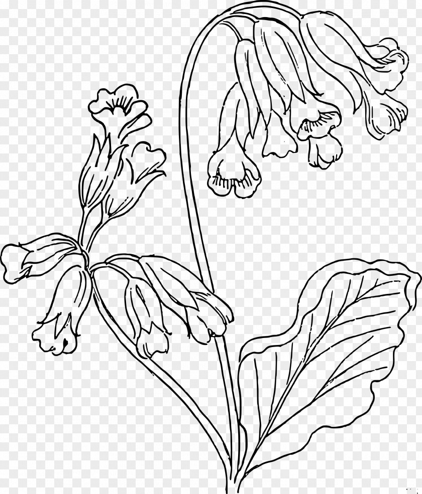 Strawberry Basket Drawing Cowslip Clip Art PNG