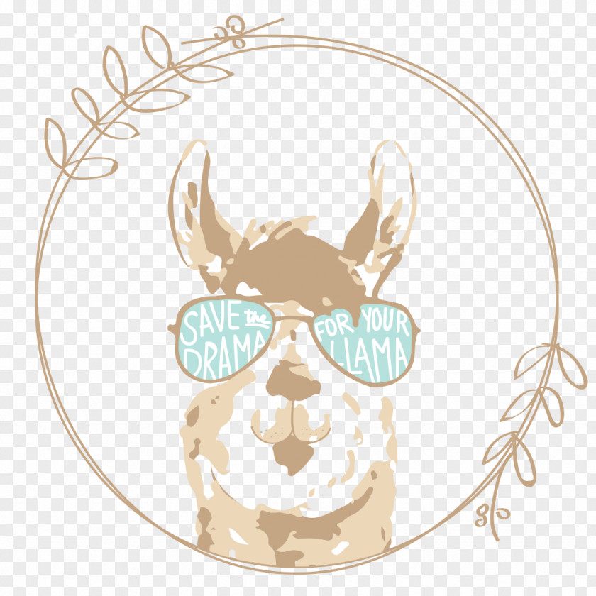 Amazing Camp Director Llama Glasses Image Illustration Animal PNG