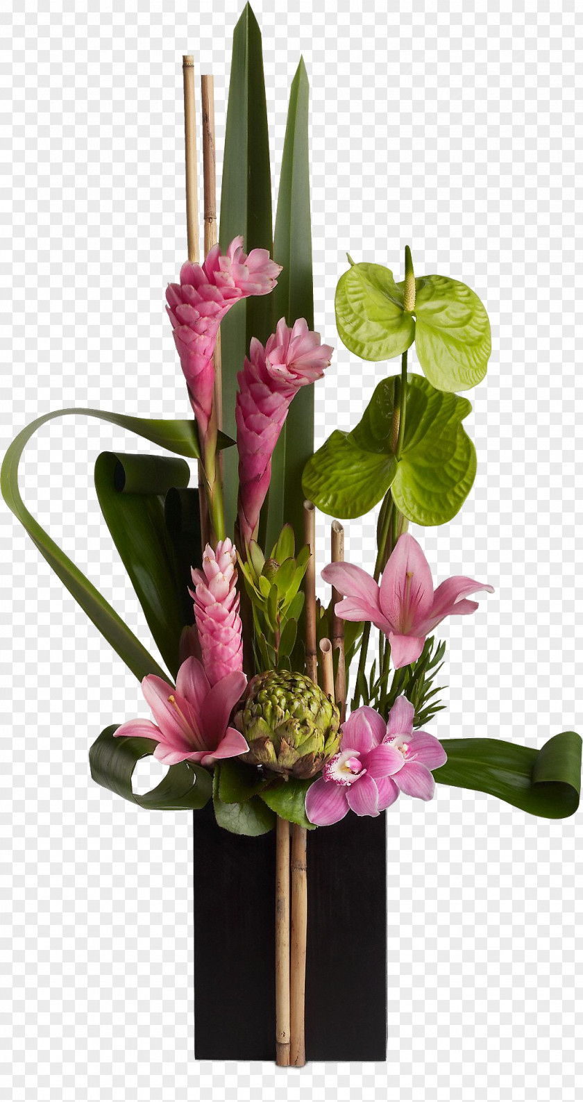 Artichokes Floristry Flower Bouquet Floral Design Ikebana PNG