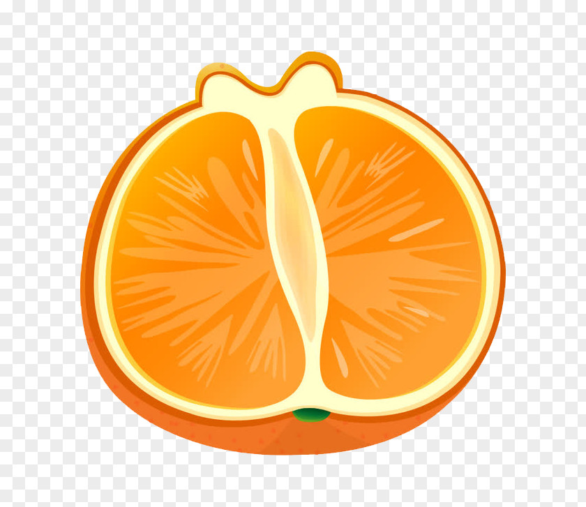 Hand-painted Half-separated Grapefruit Blood Orange Greipfrutas PNG