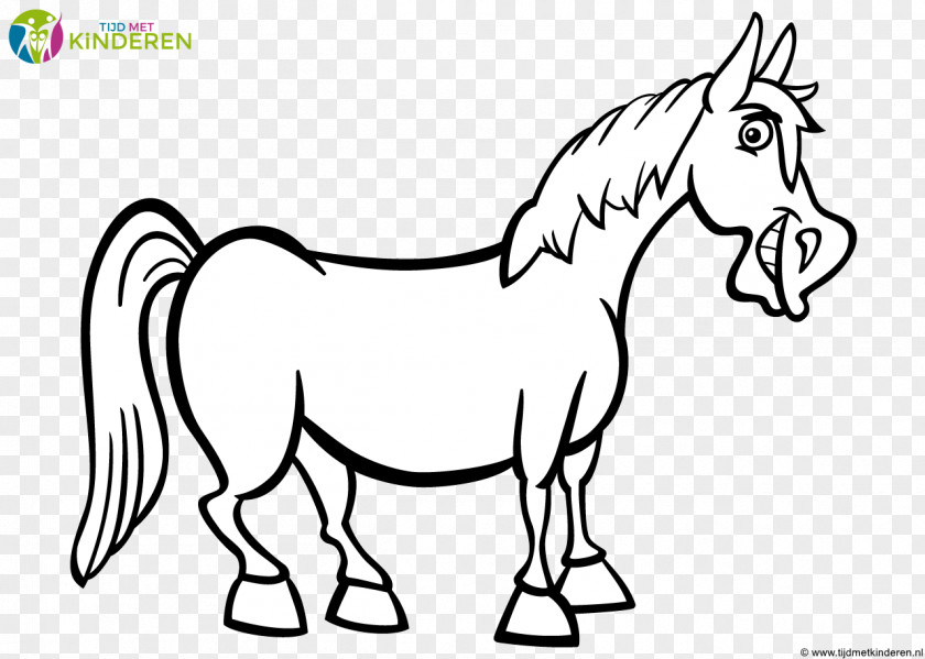 Horse Cartoon Drawing PNG